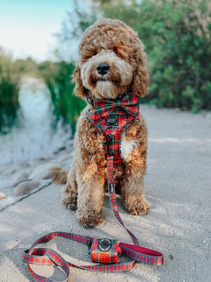 Dog Four Piece Bundle - Deck the Paws