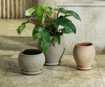 Delphi Planter
