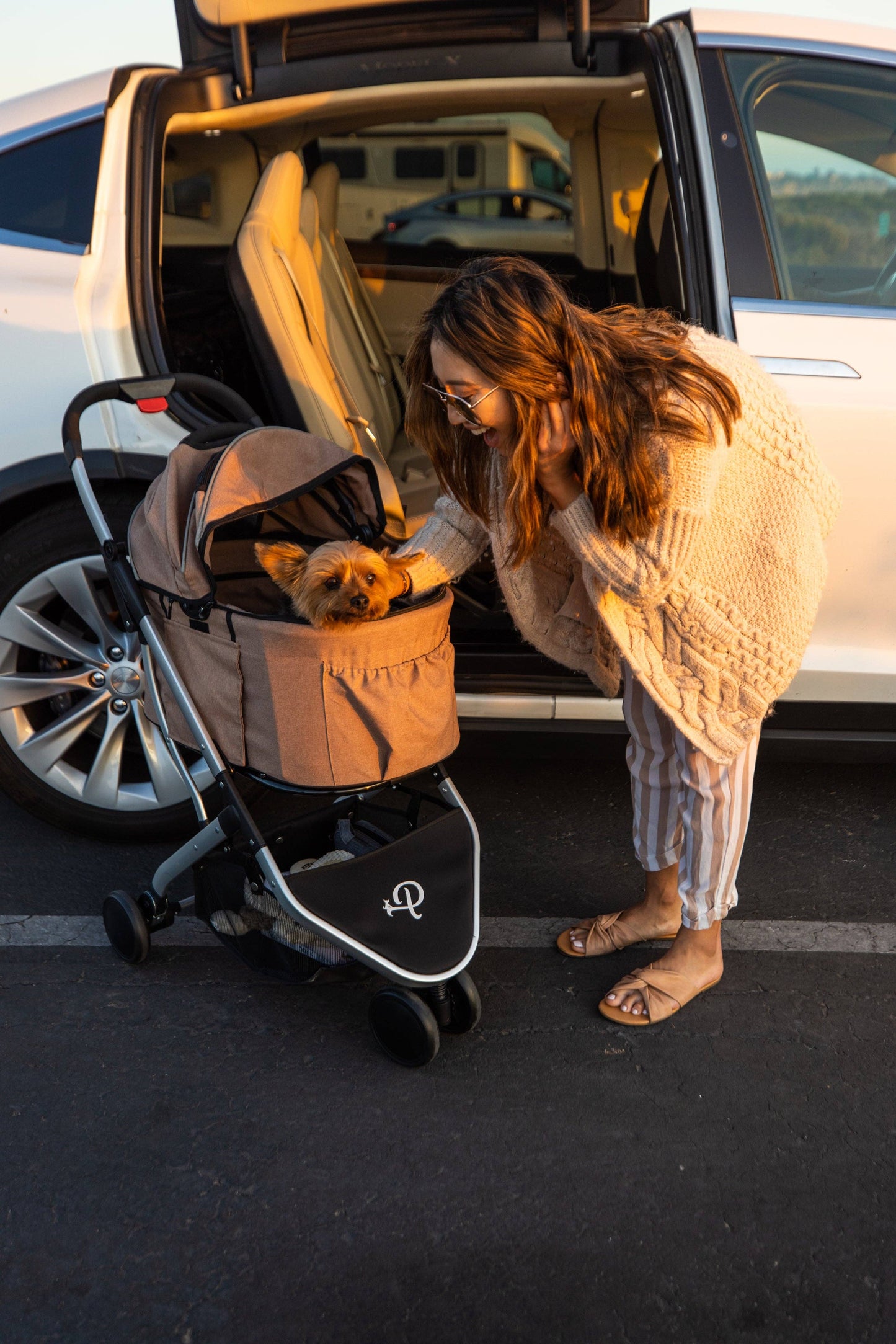 Petique, Inc - Newport Pet Stroller (3-in-1 Travel System)