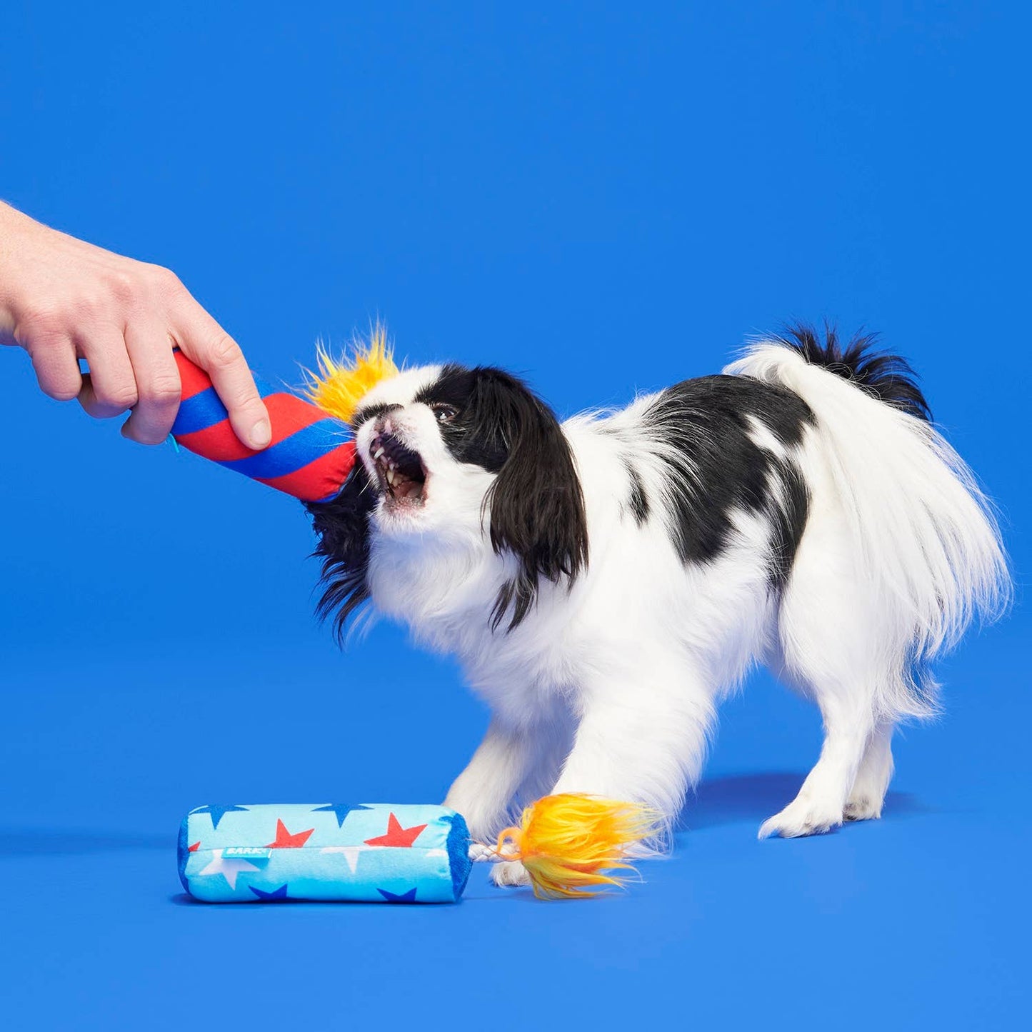 Pet Palette Distribution - BARK Pup-Pup Fireworks Fourth of July Plush Dog Toy Small