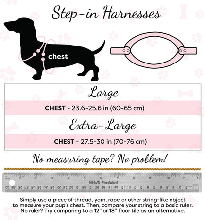 PoisePup - STEP-IN HARNESS - DESERT MINT
