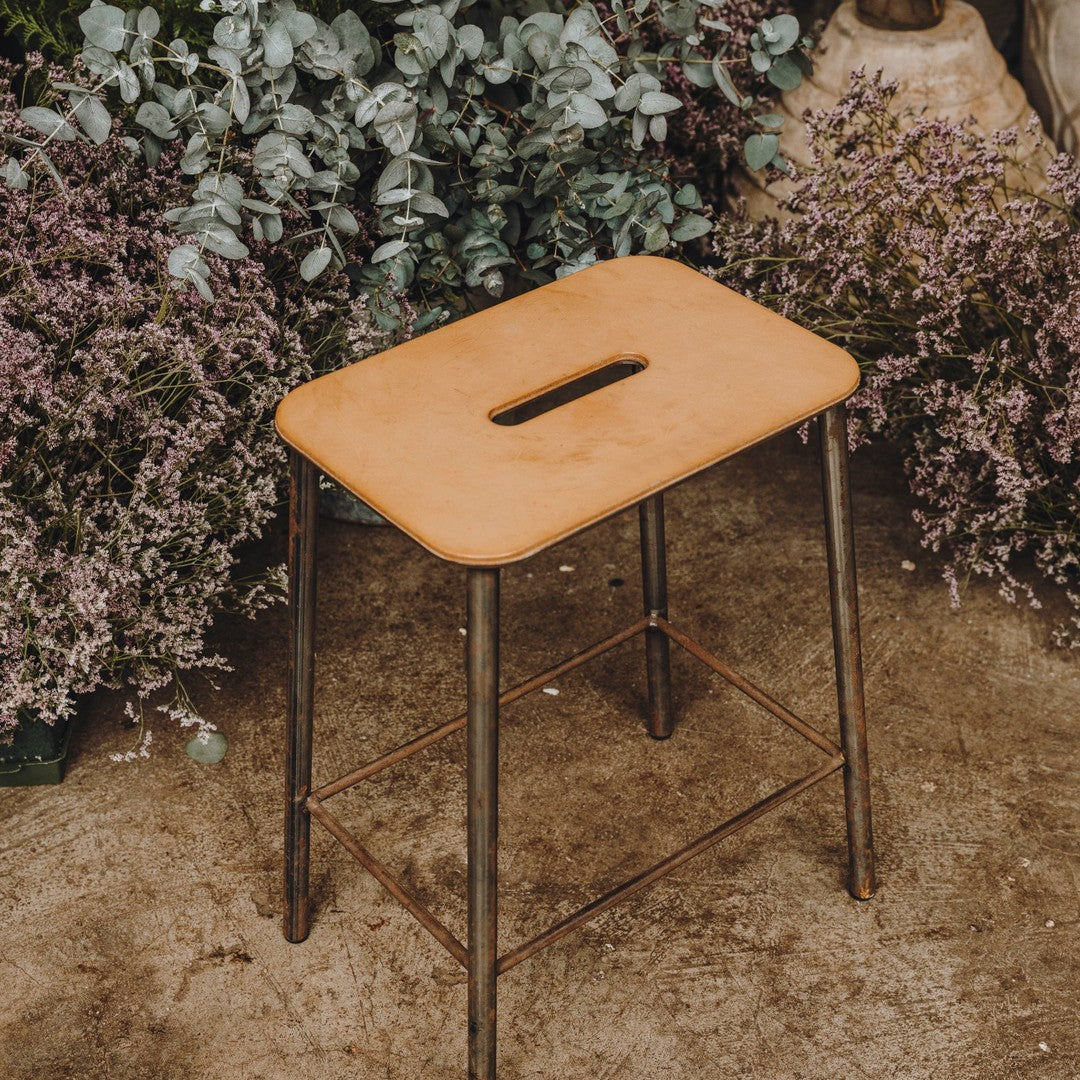 Adam Stool