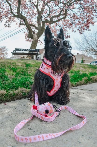Dog Leash - Western Barbie™