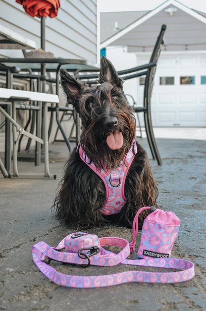 Dog Four Piece Bundle - Purple Haze