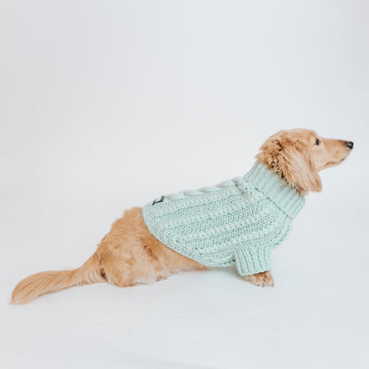 Pet Cable Knit Sweater - Mint