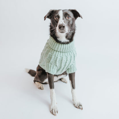 Pet Cable Knit Sweater - Mint