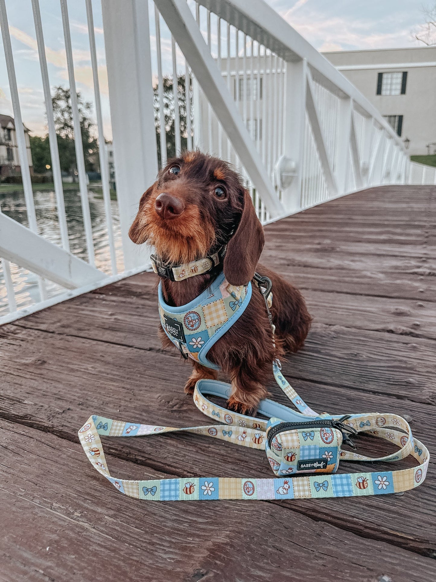 Dog Waste Bag Holder - Patch Perfect