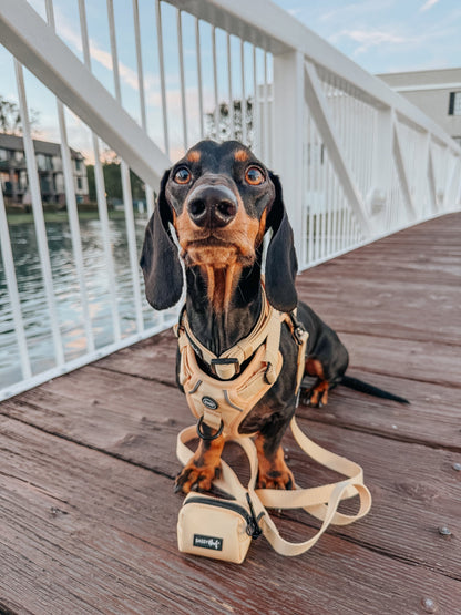 Dog Three Piece Bundle - Daffodil