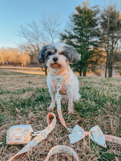 Dog Adjustable Harness - Pompompurin™