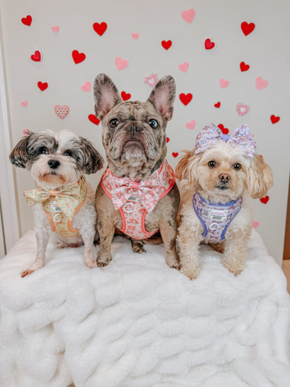 Dog Two Piece Bundle - My Melody™