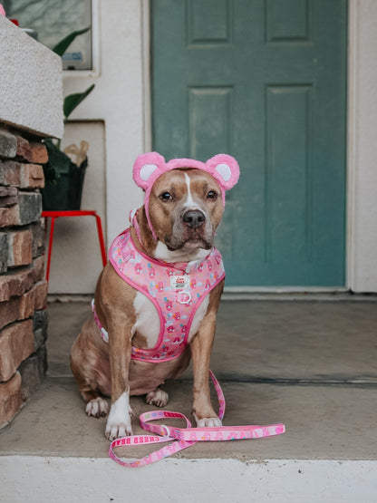 Dog Two Piece Bundle - Care Bears™ Cheer Bear