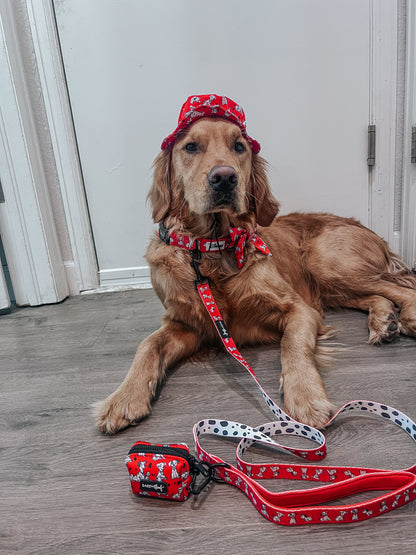 Dog Leash - Disney's 101 Dalmatians