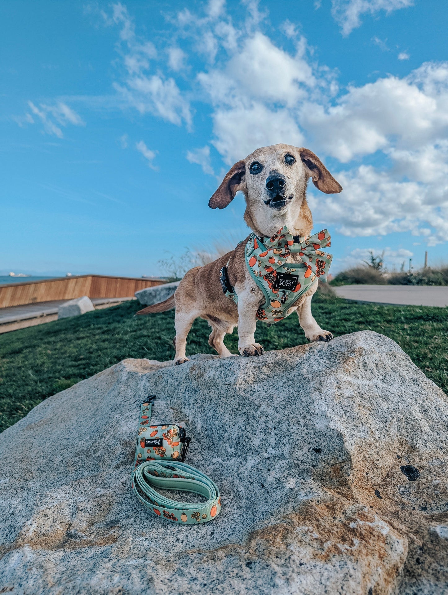 Dog Sailor Bow - Feeling Vine