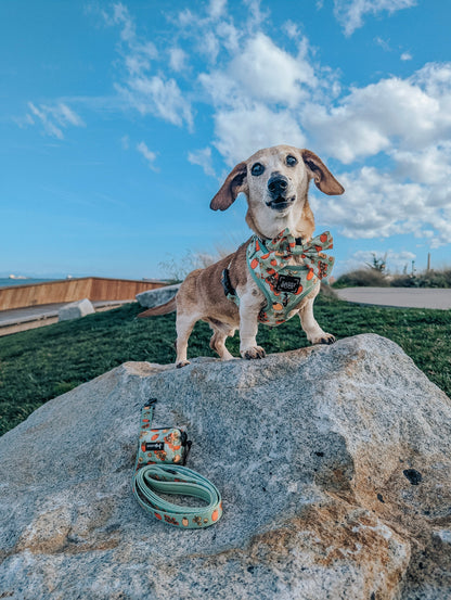 Dog Sailor Bow - Feeling Vine