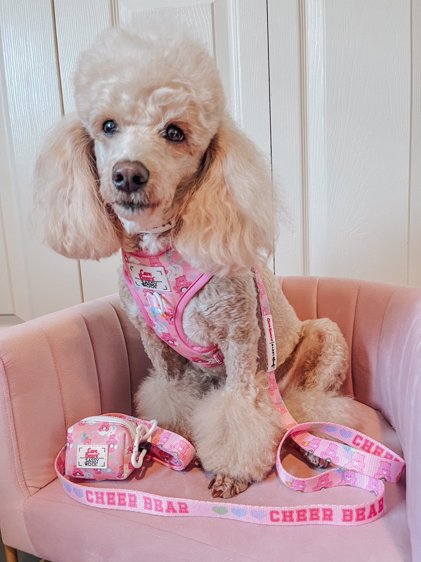 Dog Two Piece Bundle - Care Bears™ Cheer Bear