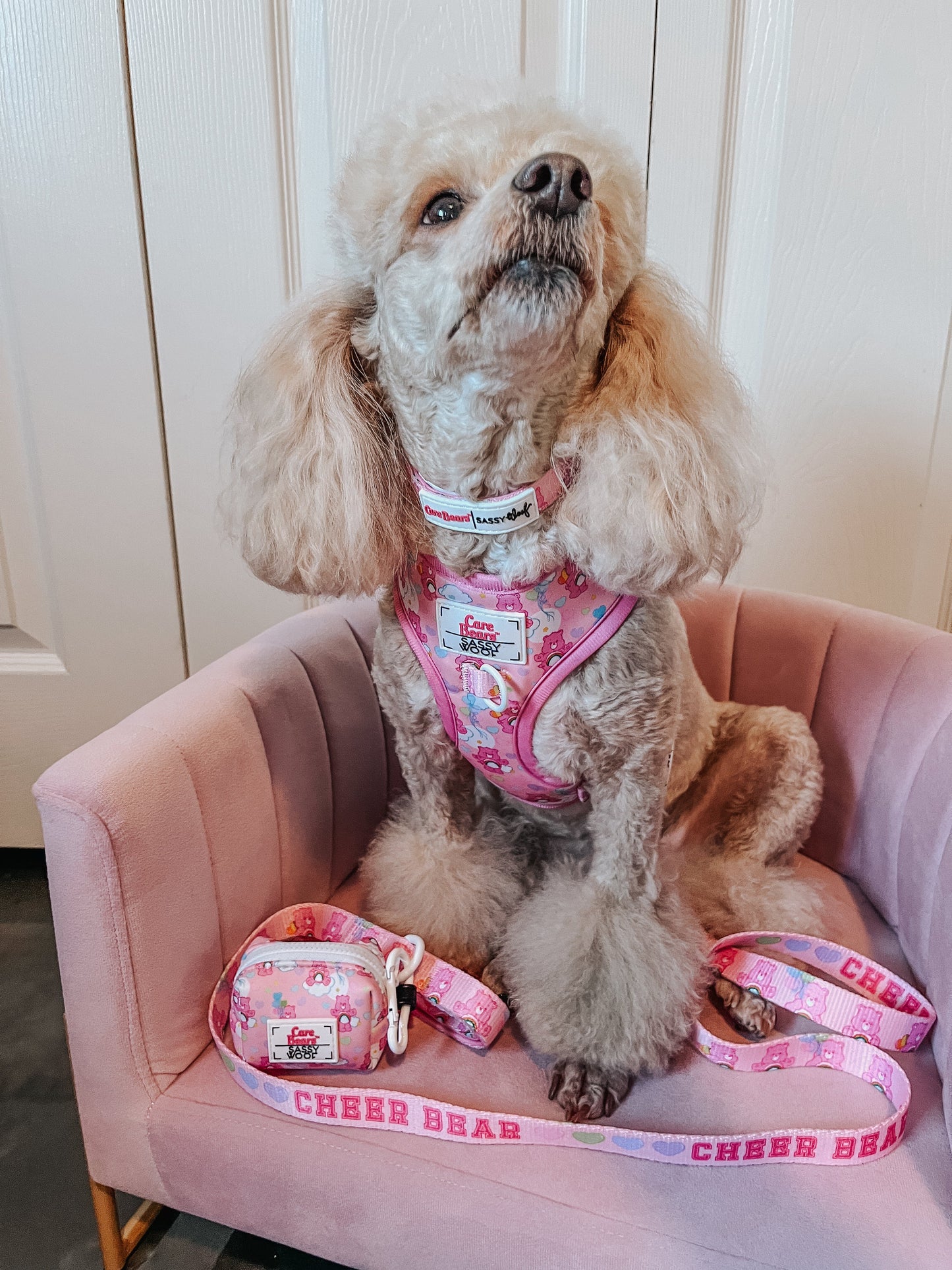 Dog Waste Bag Holder - Care Bears™ Cheer Bear