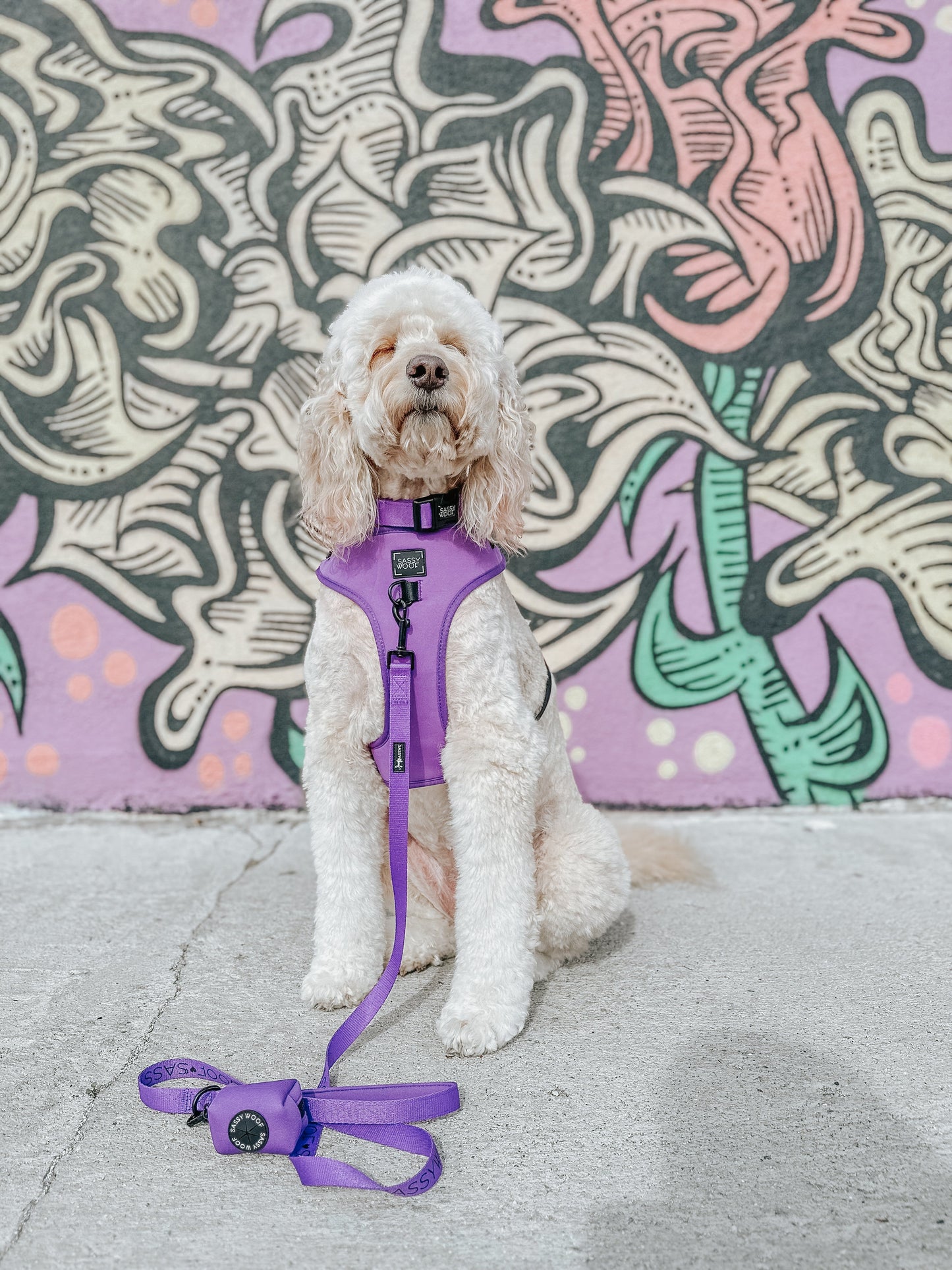 Dog Four Piece Bundle - Neon Purple