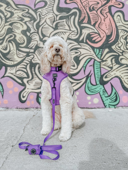 Dog Waste Bag Holder - Neon Purple