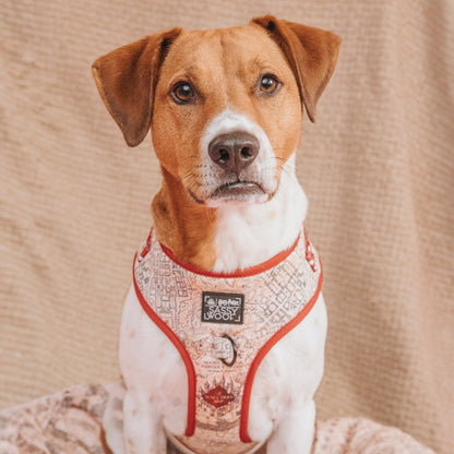 Dog Adjustable Harness - Harry Potter™ Marauder's Map™