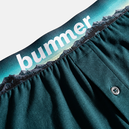 Modal Stretch Boxers - Aurora