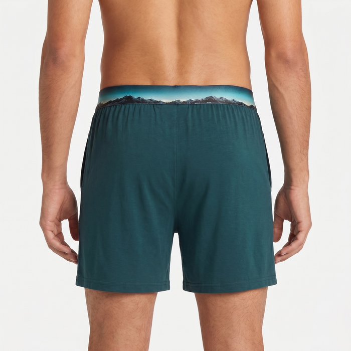 Modal Stretch Boxers - Aurora
