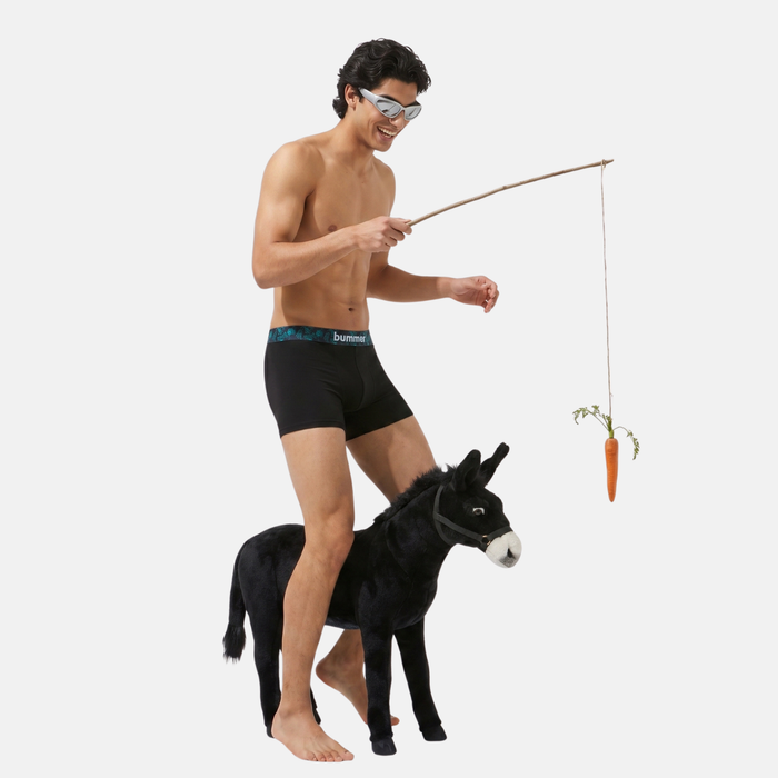 Modal Stretch Trunks  - Foliage