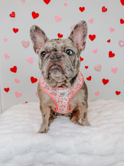Dog Adjustable Harness - My Melody™
