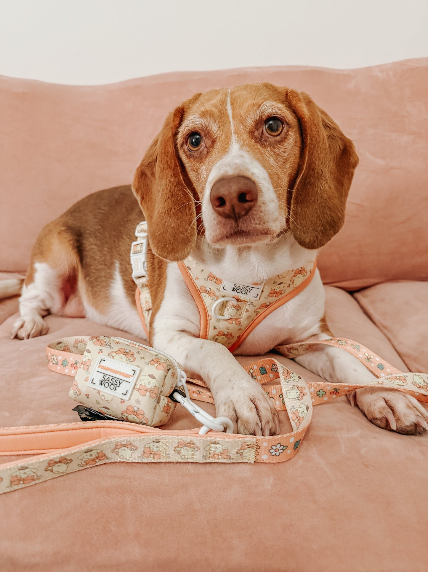Dog Waste Bag Holder - Pompompurin™