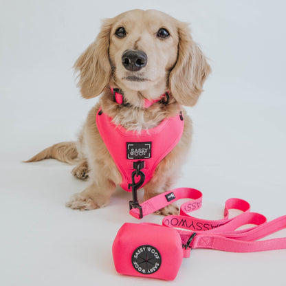 Dog Four Piece Bundle - Neon Pink