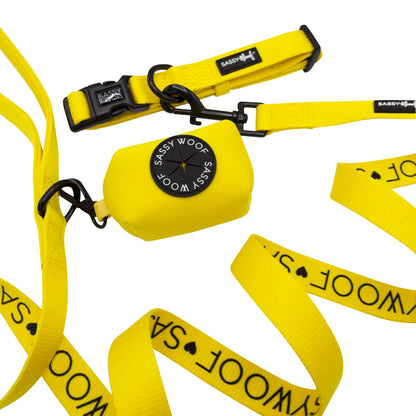 Dog Collar Three Piece Bundle - Neon Yellow