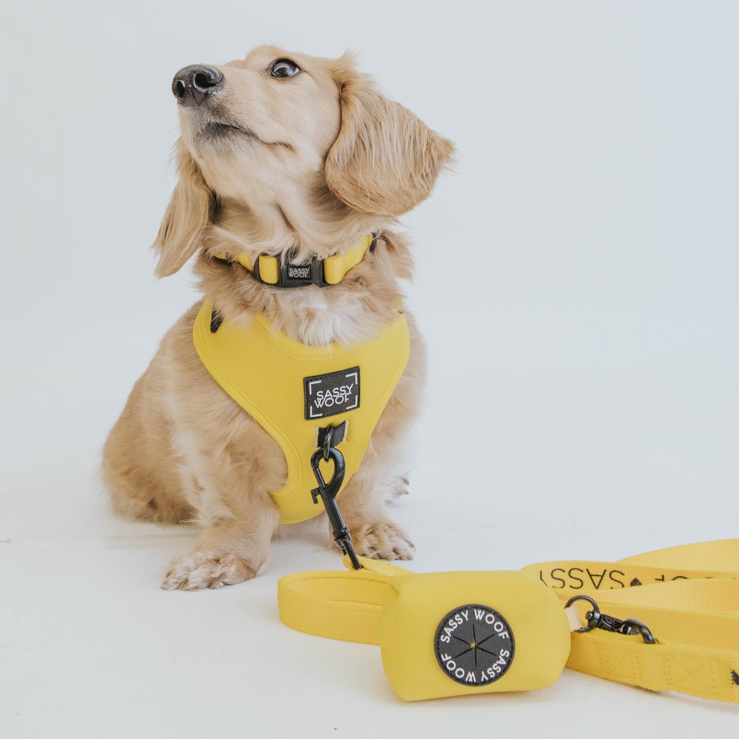 Dog Waste Bag Holder - Neon Yellow