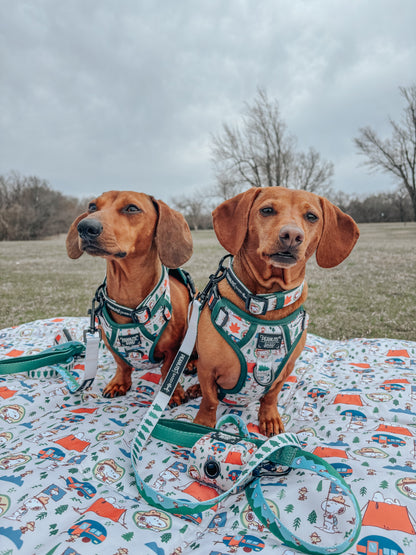 Dog Two Piece Bundle - Peanuts™ Beagle Scouts