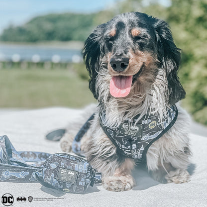 Dog Leash - Batman™