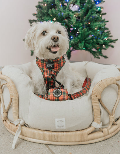 Dog Four Piece Bundle - Deck the Paws