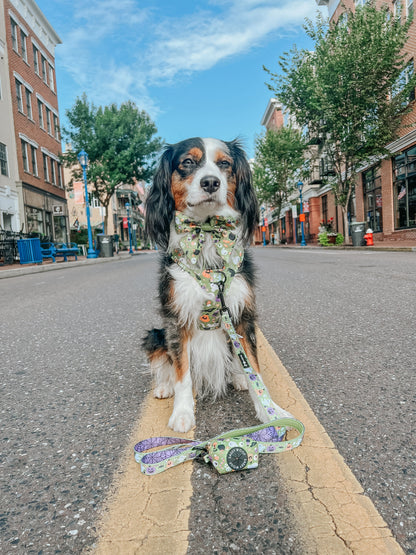 Dog Waste Bag Holder - Haunt Mess