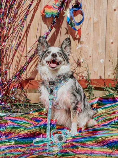 Dog Four Piece Bundle - Pup Pup Hooray