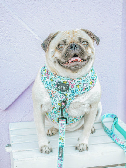 Dog Leash - Pup Pup Hooray