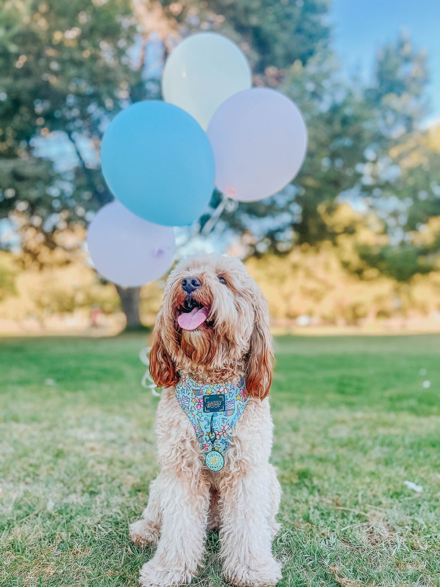 Dog Four Piece Bundle - Pup Pup Hooray