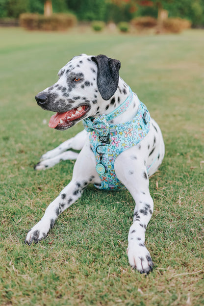 Dog Four Piece Bundle - Pup Pup Hooray
