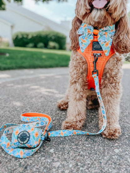 Dog Leash - Must Be the Honey