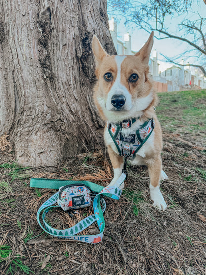 Dog Leash - Peanuts™ Beagle Scouts