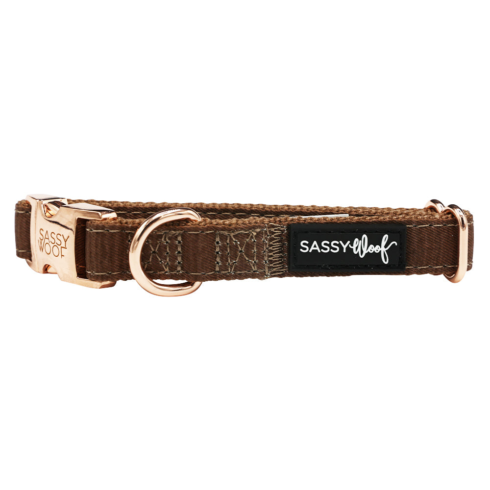 Dog Collar Three Piece Bundle - Teddy