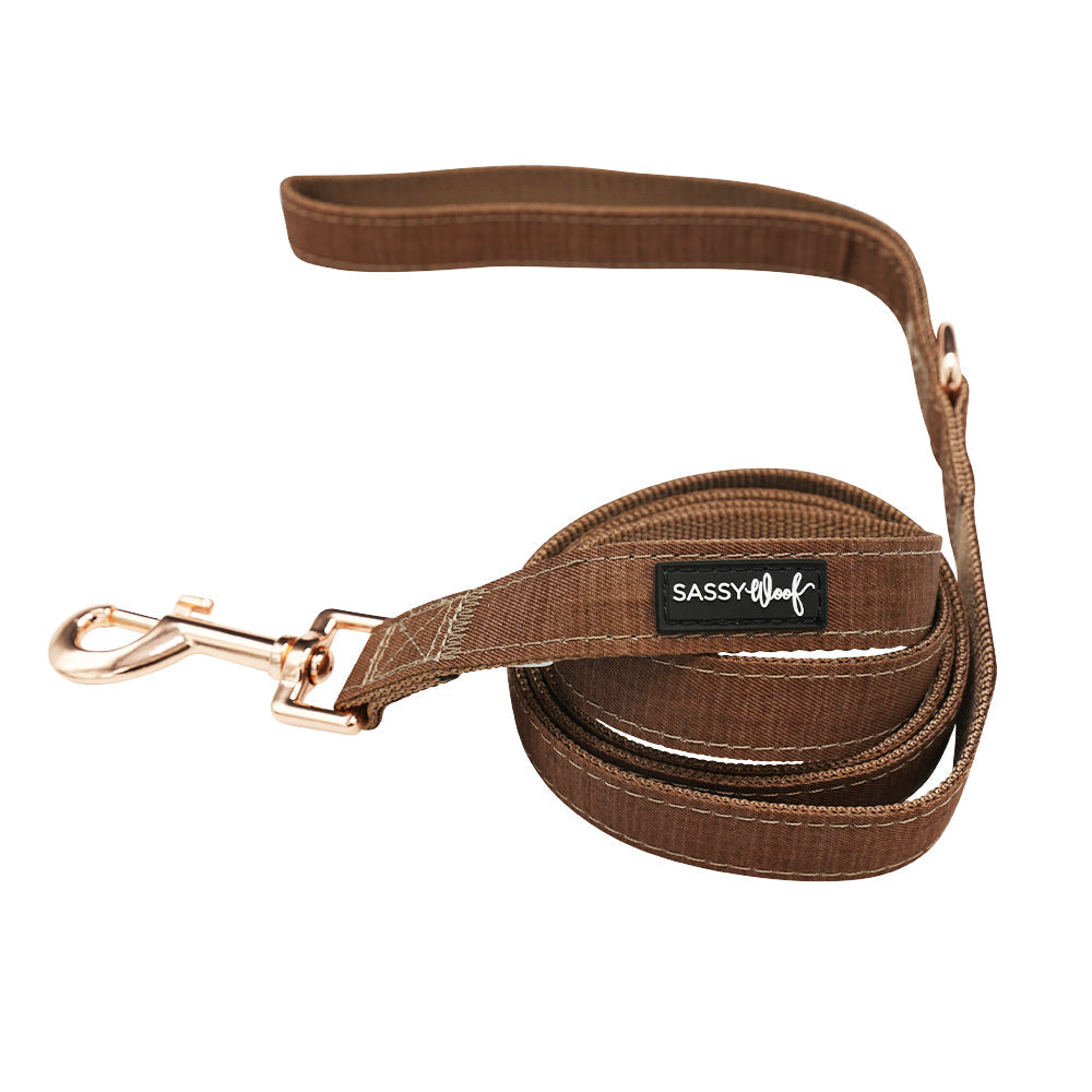 Dog Collar Three Piece Bundle - Teddy