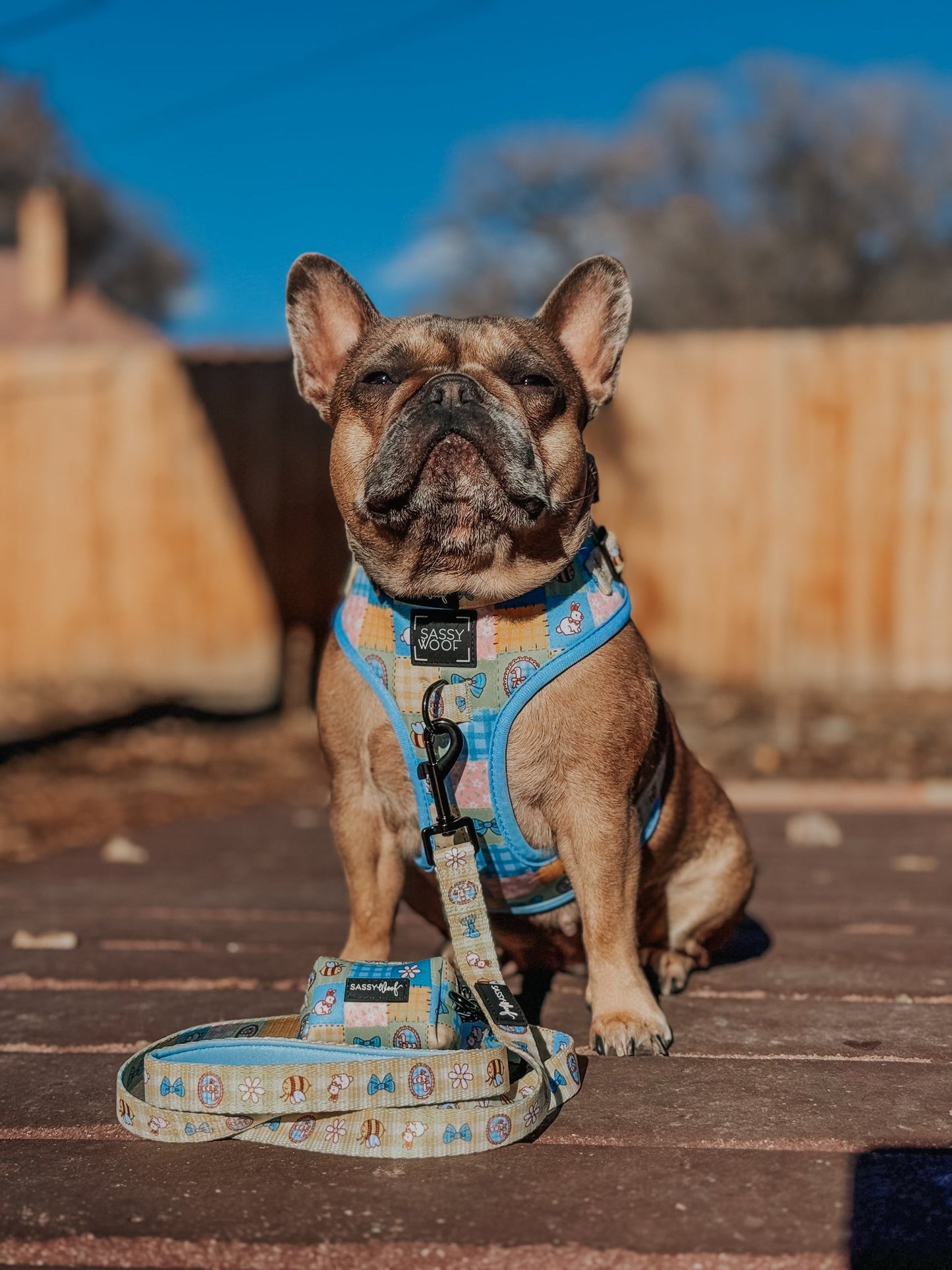 Dog Waste Bag Holder - Patch Perfect
