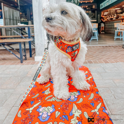 Pet Blanket - Wonder Woman™