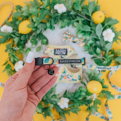 Cat Collar - Zest Friends